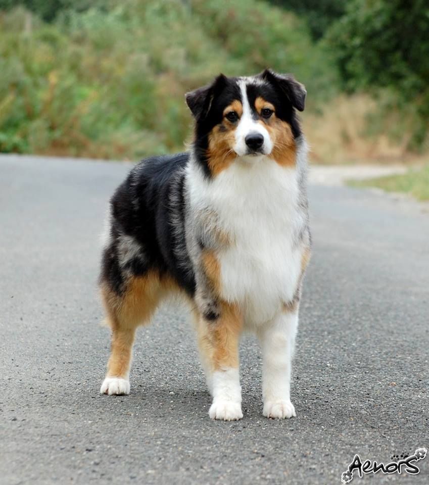 Aenor's I got my own style